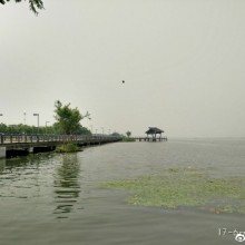阳澄湖半岛云杉湖公园
