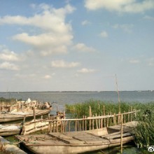 阳澄湖畔的早晨
