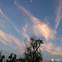 这个点的阳澄湖，吹着风，好舒服…… ​