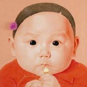 卷心菜菌的TheMoment