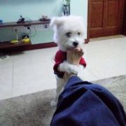 Jan_说