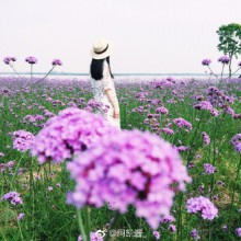 嘿嘿 下次带条竹竿来阳澄湖这钓龙虾