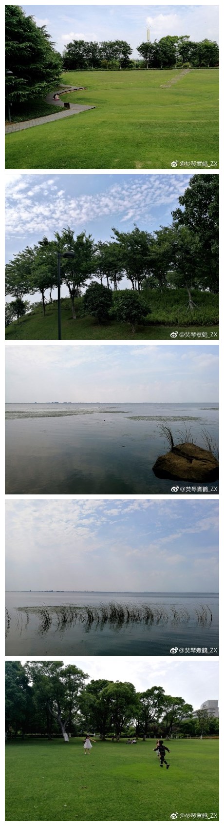 阳澄湖初夏。六月上旬。​
