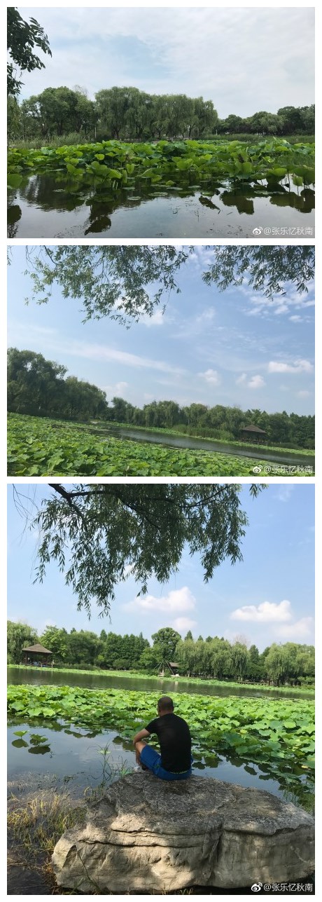 周末的阳澄湖畔，下图这位嫌弃我没停好小黄车的在公园守猪待，希望有天他发现我微博的时候还是我的中国好哥哥。