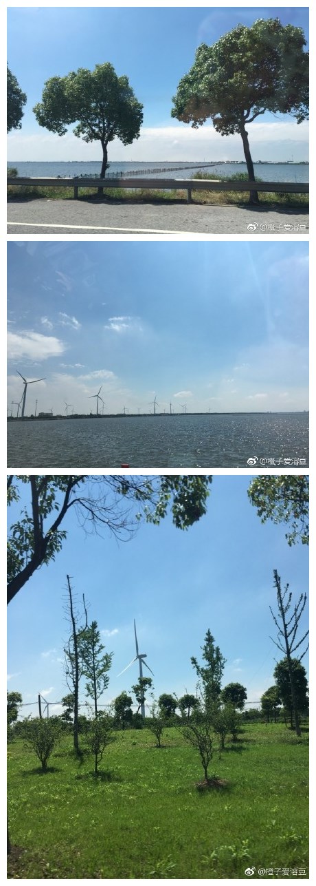 路过阳澄湖##随手拍