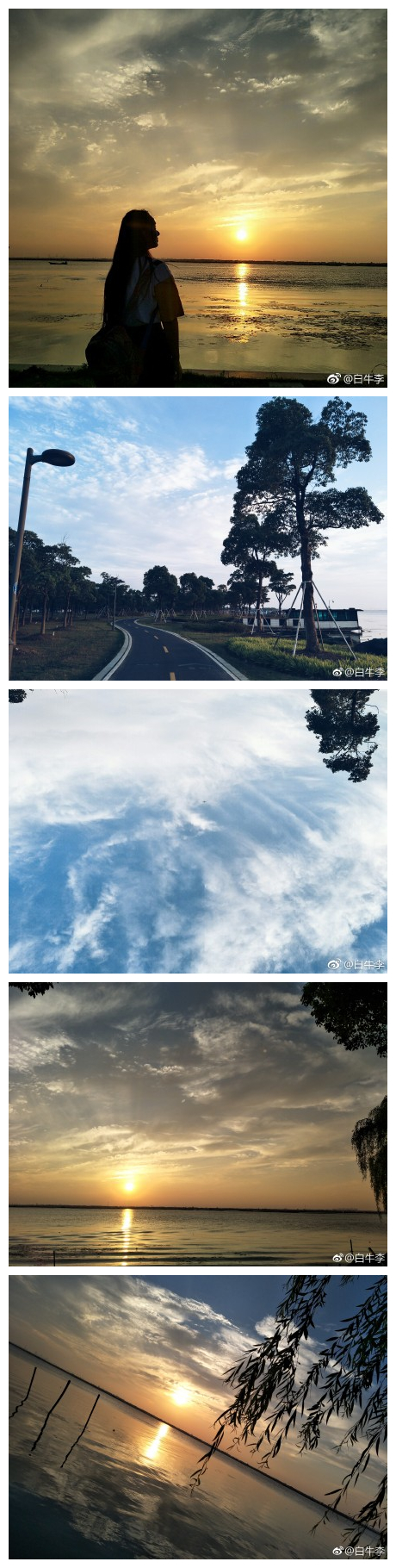 夕阳落在阳澄湖面真的太美[心]