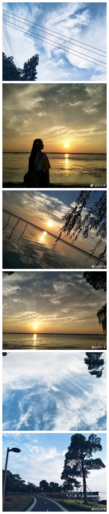 夕阳落在阳澄湖面真的太美[心]