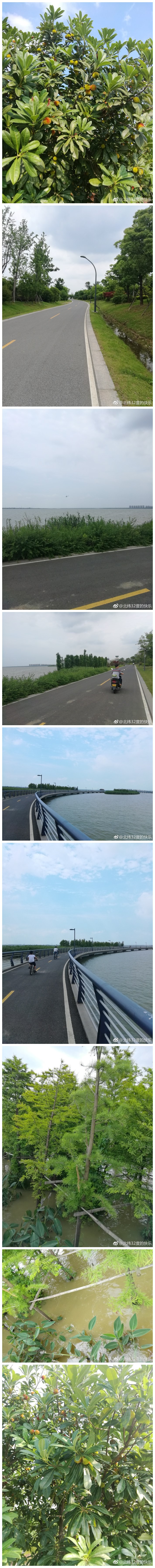 阳澄湖环湖自行车道
