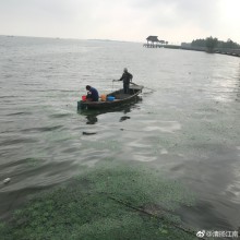 阳澄湖养育了世代的养蟹人。蟹儿肥，鱼虾鲜，空气清。养生消闲好地方。