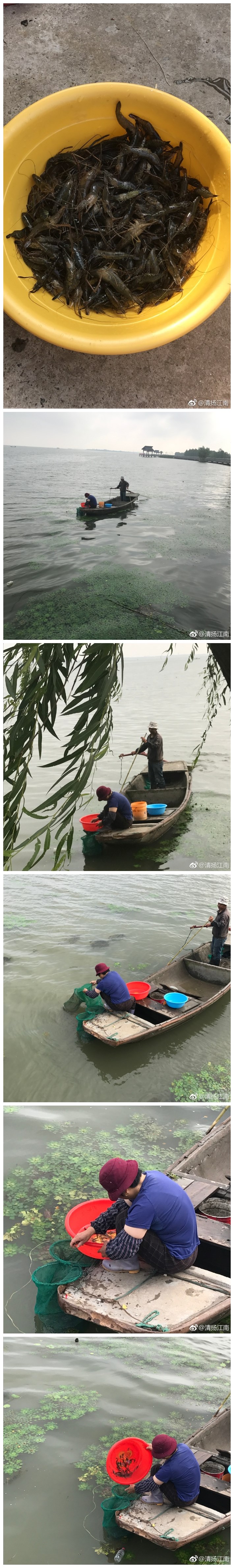 阳澄湖养育了世代的养蟹人。蟹儿肥，鱼虾鲜，空气清。养生消闲好地方。