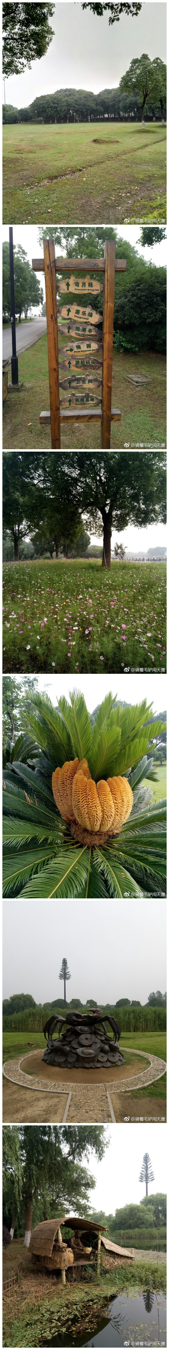 一个吃螃蟹很有名的地方他就叫阳澄湖，阳澄湖生态圈，旁边就是#华谊兄弟#影视城，阳澄湖欢迎你，我在这里吃螃蟹，你来吗