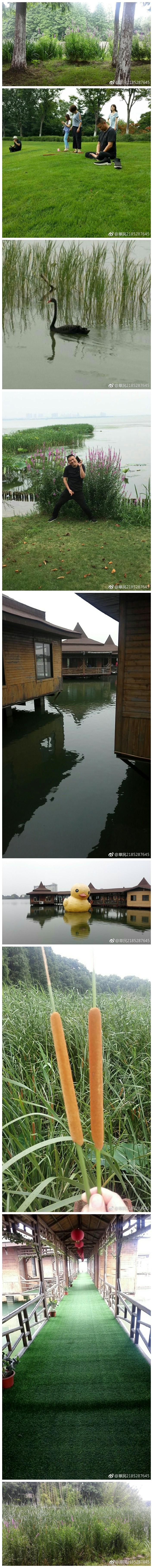 欢聚阳澄湖