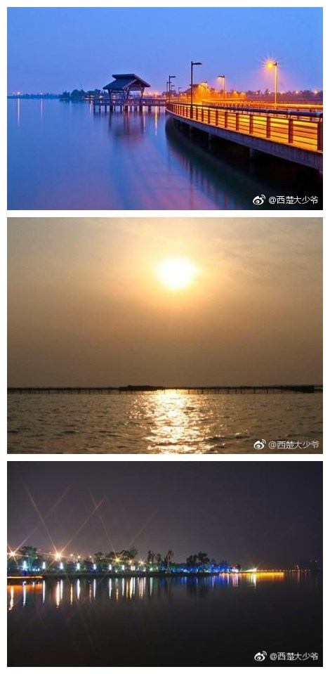 <初夏雨后>初夏雨停晚来风，阳澄湖畔一排灯。香泥青瑟纳微凉，月色铺面水波更。