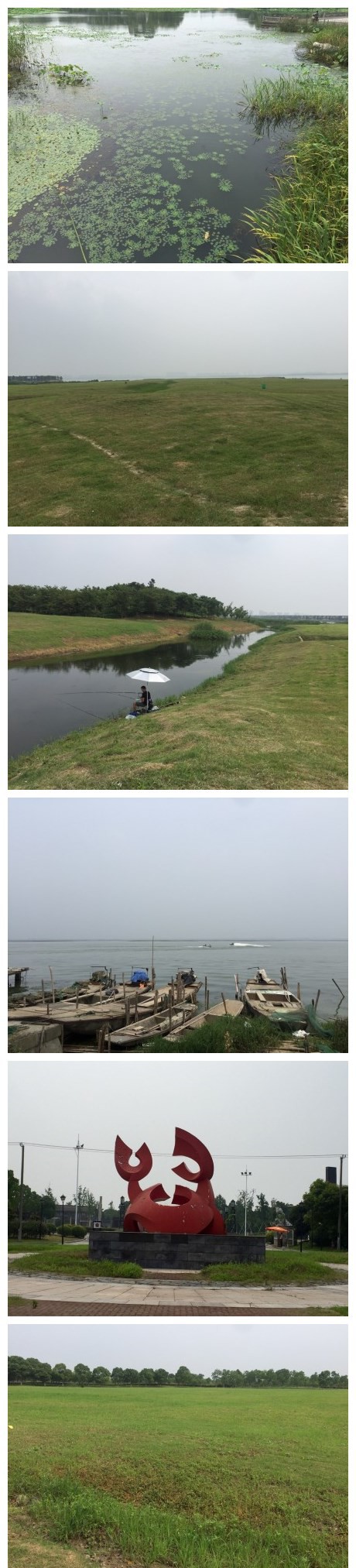 阳澄湖最出名的应该就是阳澄湖大闸蟹了，因此周边的农家乐比较多，但是我们没有在对的季节去，以至于连吃饭的地方都找不到。整个半岛景区规划不错，喜欢湖边的湿地，恍惚间有种看到了草原的感觉。——【遇见·苏州
