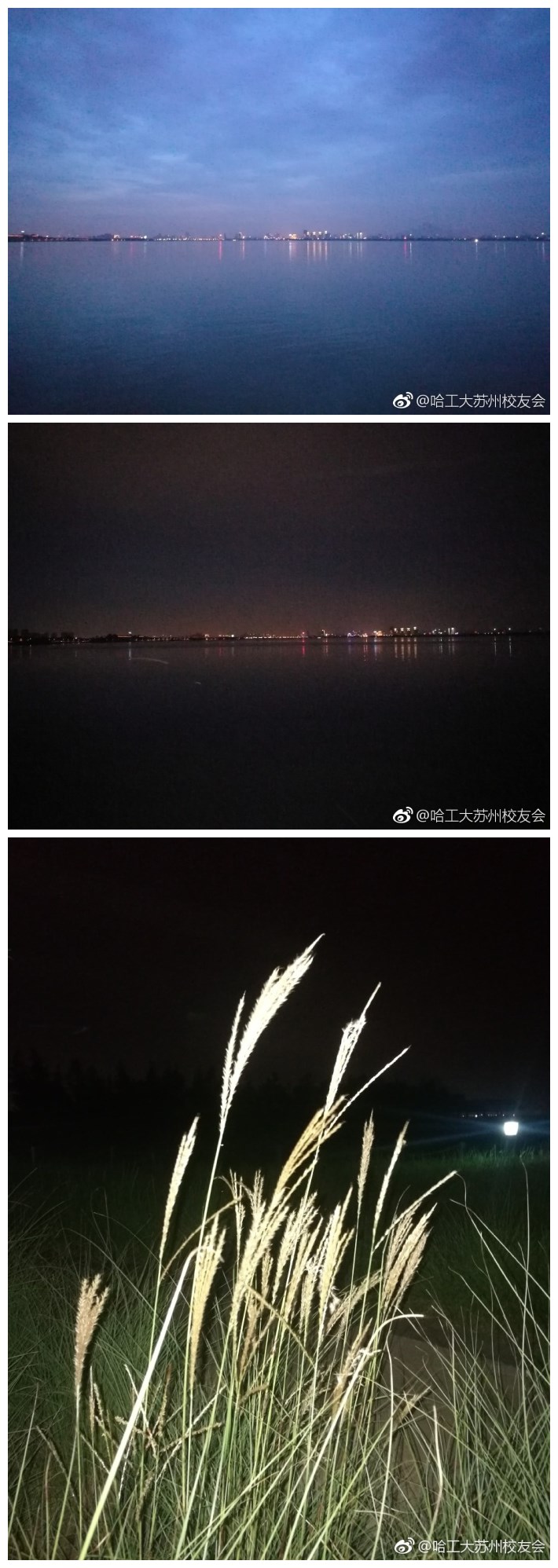 夜幕下的阳澄湖，风平浪静，蝉鸣虫嘶，夜钓的人们时不时的甩出钓竿，不远处的野泳爱好者正享受畅游的快感，湖底的螃蟹在慢慢的脱壳……人与自然和谐共处 ​
