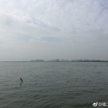 传说中的阳澄湖 ​