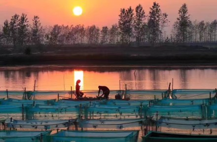 最美--那夕阳西下的阳澄湖 ​