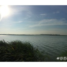 早晨，阳澄湖畔5KM，呼吸新鲜氧气。