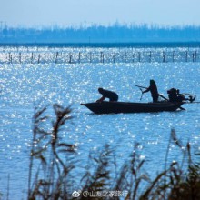 【阳澄湖】位于苏州市区的东北，分西湖、中湖、东湖。它南连苏州城，北邻常熟山，就像它的名 字一样，阳澄湖水质澄清，阳光透底远远望去，湖中绿洲莲花岛就像一块晶莹的翡翠。泛舟湖上，微波荡漾，仿佛人在画中。