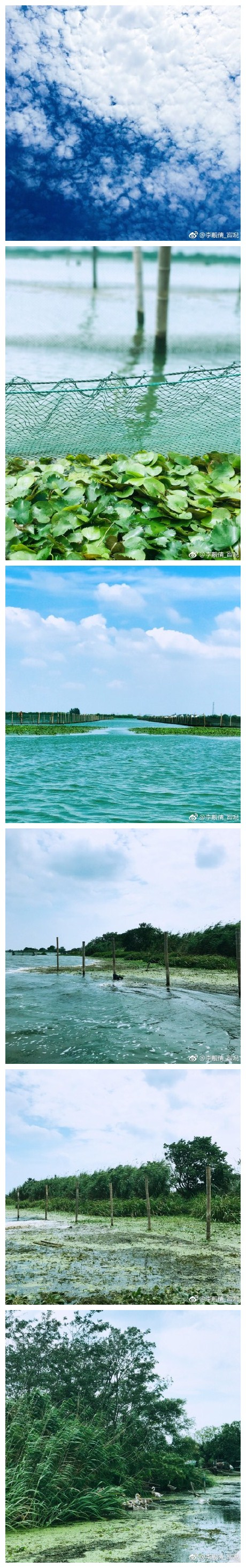 阳澄湖美