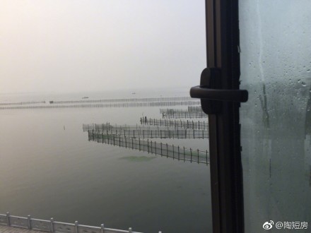 七绝、宿阳澄湖畔推窗见晨雨纷纷：簖短风长湖水平，桨机声重鸟声轻；淋漓一夜澄湖雨，能涤心窗共晓明？