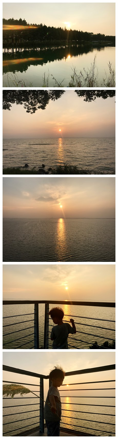 夕阳美了阳澄湖，蝉鸣美了时光