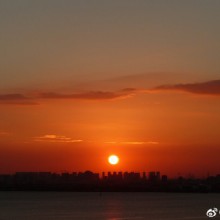 今日的阳澄湖畔，夕阳醉人。感觉都不像我说的话了，其实就是两个字好看 ​