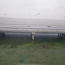 这是你待过的苏州嘛，阳澄湖很美丽啊[可爱]