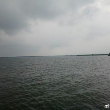 阳澄湖好像挺不错的。
