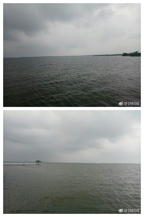 阳澄湖好像挺不错的。