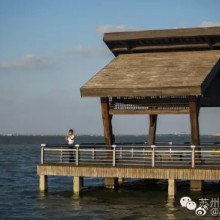 #随心应季旅行去#【阳澄湖半岛自行车道】前天，2017中国自行车联赛在苏州阳澄湖半岛旅游度假区开赛。开幕式上，中国风景名胜区协会向苏州阳澄湖半岛旅游度假区授予“中国最适合骑行游览线路”的称号。蜿蜒迤逦