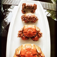啦啦啦，又到了吃大闸蟹的季节了，阳澄湖大闸蟹，崇明蟹，吃起来