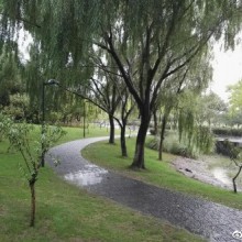 今天偌大一个阳澄湖的公园就我包场了[偷笑]，一场大雨……，公园平时有时间走走也不错[嘻嘻]