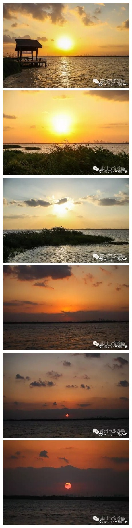 #最美苏州#你看！这个季节，阳澄湖的夕阳，是大闸蟹的颜色…… ​