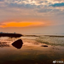 在一场安静里细细聆听， 流年里的颜色， 摇曳着浓浓淡淡深深浅浅的不同。 ——摄于阳澄湖