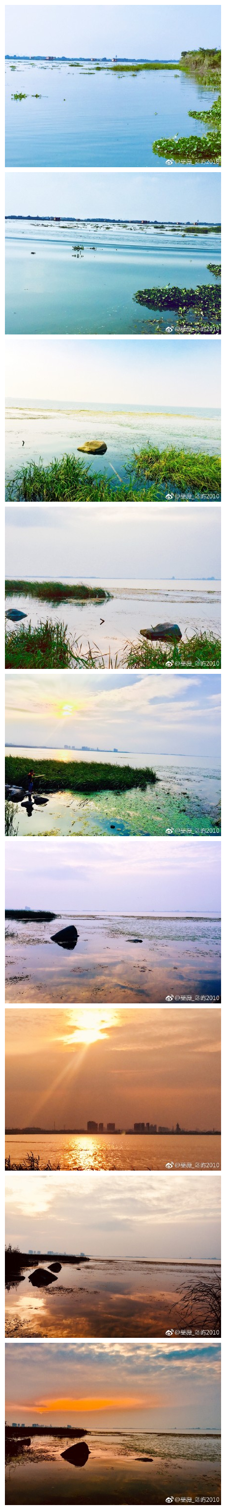 在一场安静里细细聆听， 流年里的颜色， 摇曳着浓浓淡淡深深浅浅的不同。 ——摄于阳澄湖