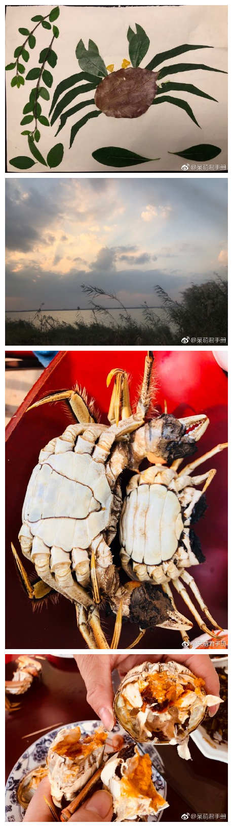 第一次帮我做作业，阳澄湖大闸蟹没有白吃啊 ​