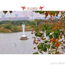 苏州阳澄湖半岛天主教堂 ​