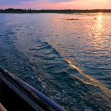 又是一年菊黄蟹肥时，今年坐着渔船亲临阳澄湖