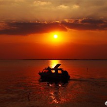 #寻味上海# 距离上海50公里的阳澄湖大闸蟹