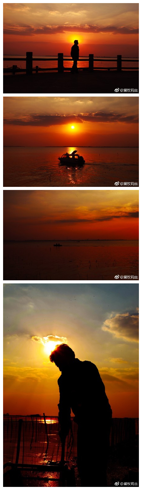 #寻味上海# 距离上海50公里的阳澄湖大闸蟹