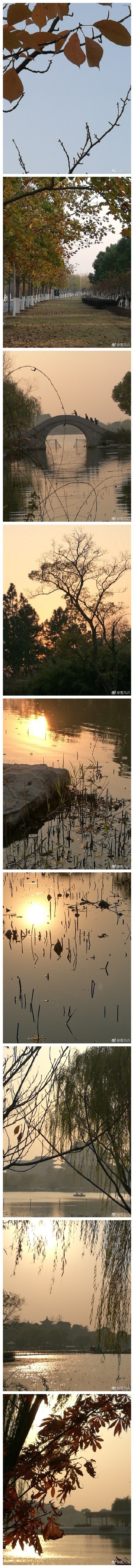 阳澄湖的秋天同大自然一样，在这个季节各种植物交替换装，争奇斗艳。夕阳下，她更散发出独特的魅力。以最好的妆容，欢迎来自四面八方的游人。 ​