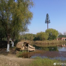 阳澄湖吃大闸蟹，再不去季节就过了