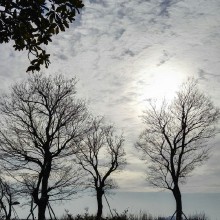 农历丁酉年十一月十三，阳澄湖畔，云彩锦粼湖天芦花，，，。今年冬天特别美!