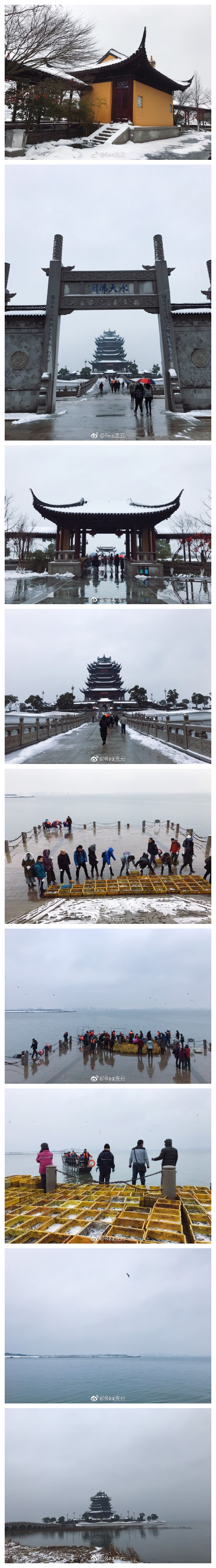 重元寺阳澄湖放生 好久没有五点多起床了，雨夹雪，天虽冷，但着实充实的一天，祈愿自己和身边的人安康。