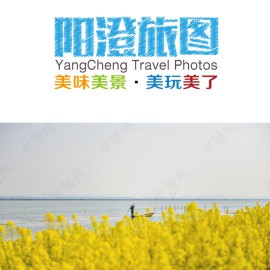 【阳澄旅图】阳澄湖油菜花季之美人腿