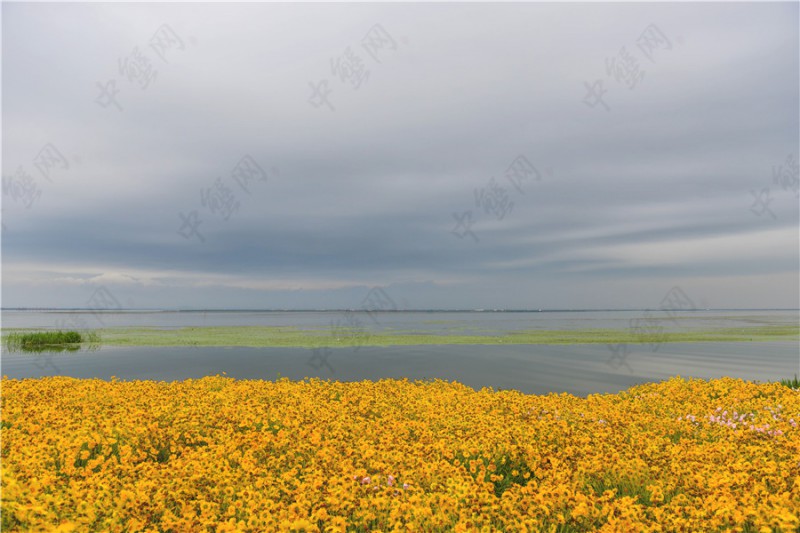 阳澄湖雨季旅游