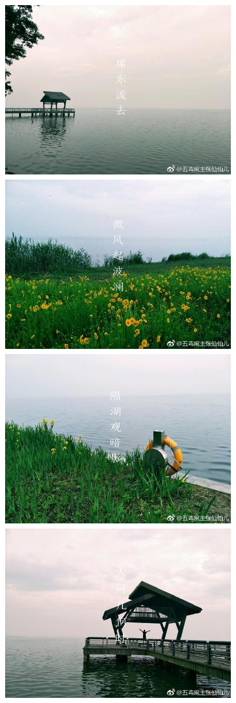【摄影】  地点：阳澄湖 ​