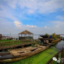 #荷塘•夏•苏州#【莲花岛】作为苏州赏荷胜地之一，阳澄湖莲花岛是一个绕不开的地方。每到夏天，这里千亩荷叶就开始形成“碧连天”的胜景，给你带去一整夏的清凉芬芳。地址：相城区阳澄湖度假区莲花岛。 ​