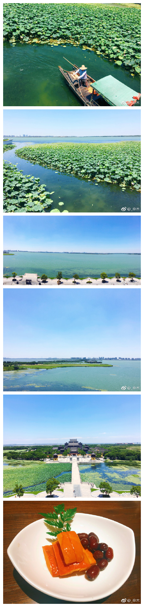 酷暑下的阳澄湖，竟是一处凉快地。 ​